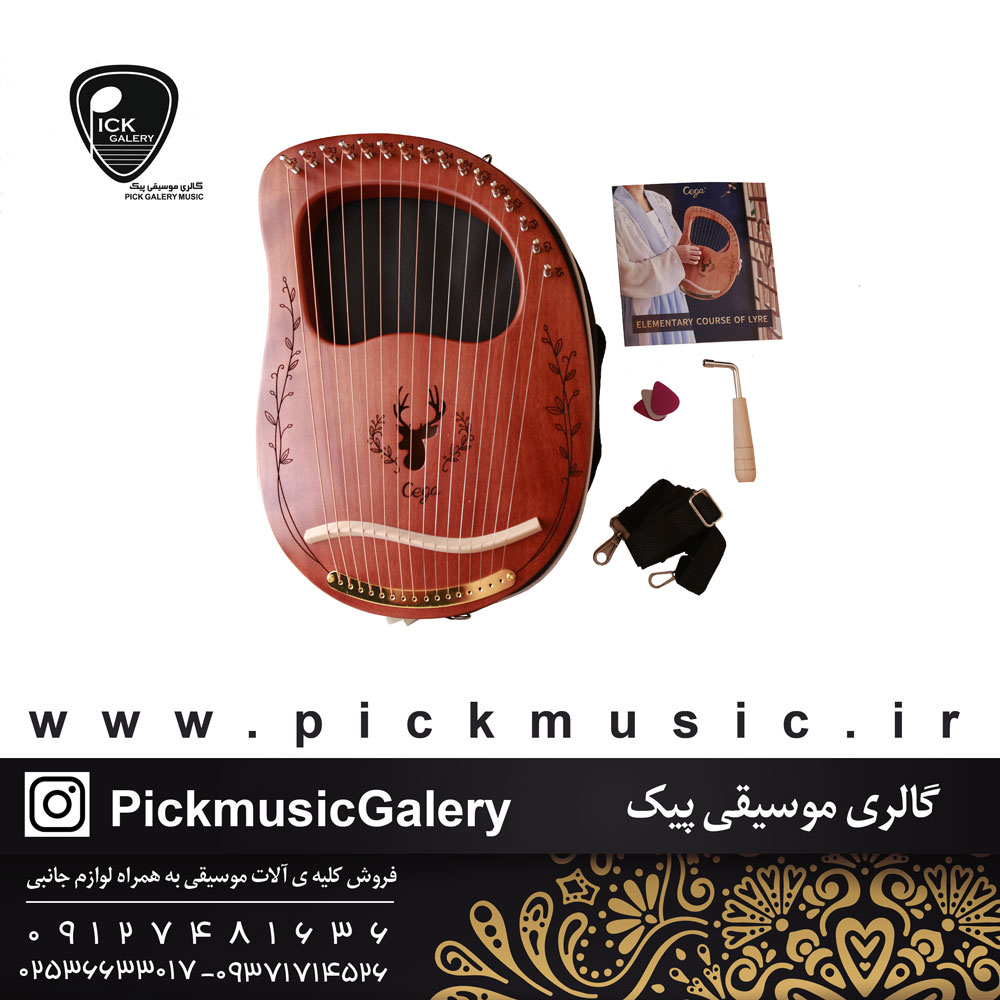  چنگ رومی سگا رزوود مدل Cg01-bn 