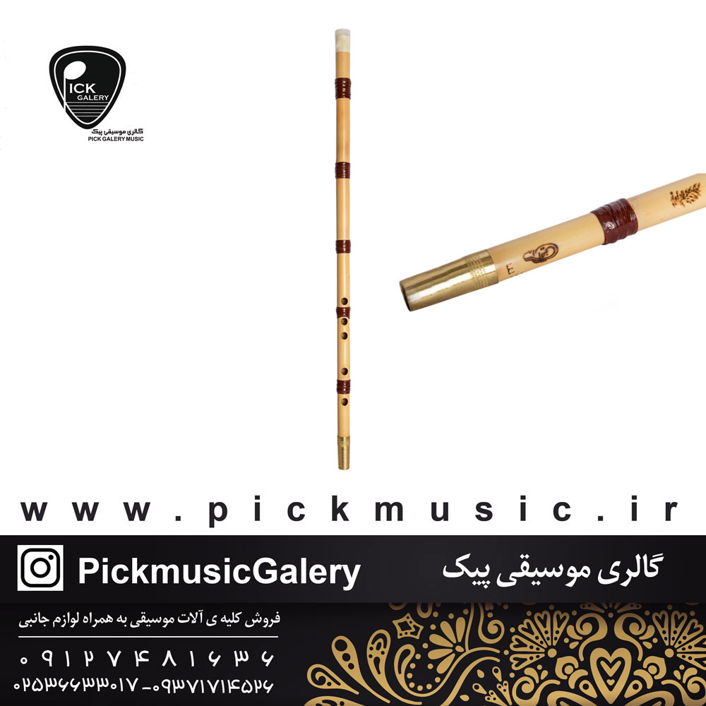  نی امینی (ویژه)