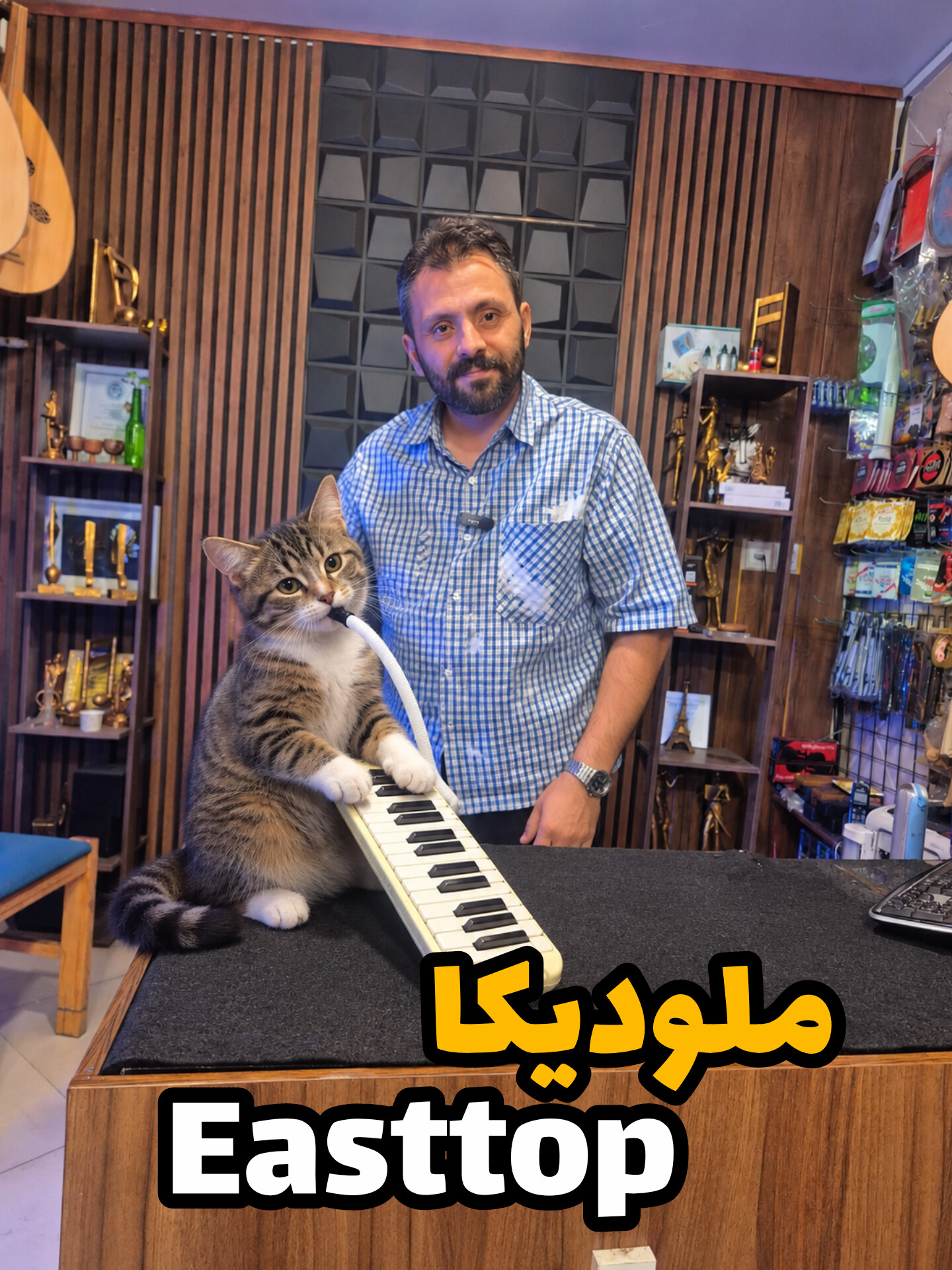 ملودیکا ایستاپ (37کلید)