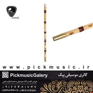 نی امینی (ویژه)