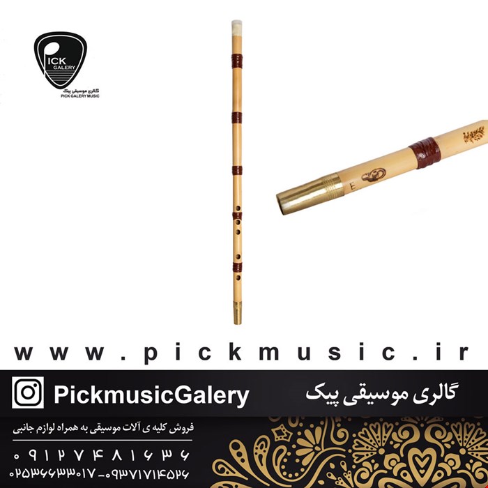 نی امینی (ویژه)