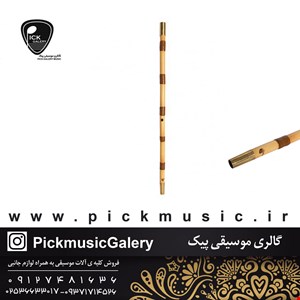 نی بیات ویژه (سل)