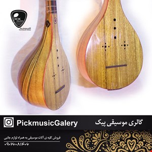 سه تار شهنوا ویژه