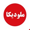 ملودیکا 337کلید سوان